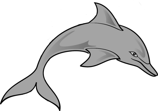 Dolphin With School Bag Clipart - Living Things Clip Art (639x450)