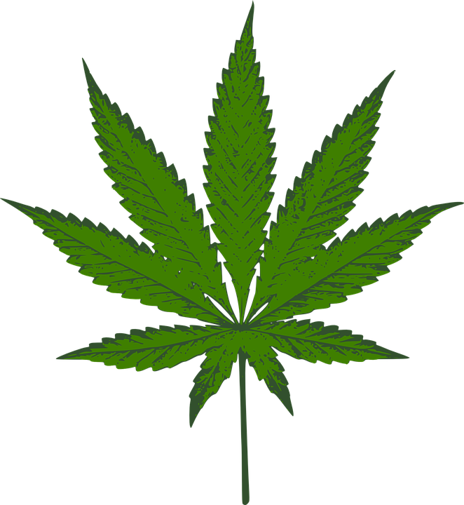 Marijuana Leaf Green Icons Png - Cannabis Vector (662x720)