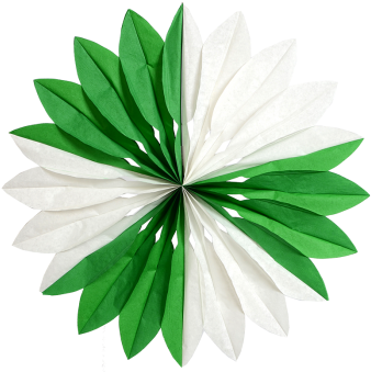 Faltrosette Grün Weiss Ø 60 Cm - Bracket (350x350)