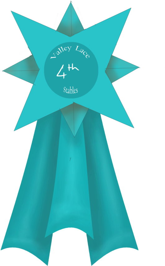 4th Place Rosette By Lone Onyx Stardust - Paper (677x1179)