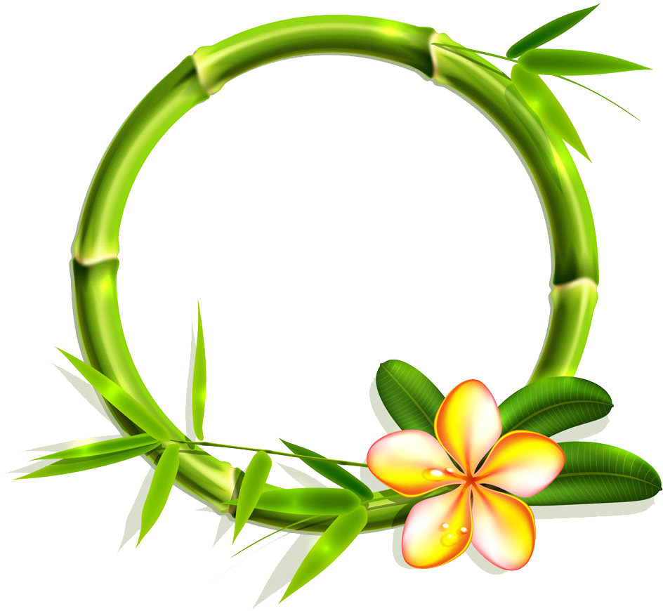 Bamboo Royalty-free Picture Frame Illustration - Bamboo Royalty-free Picture Frame Illustration (1000x1000)