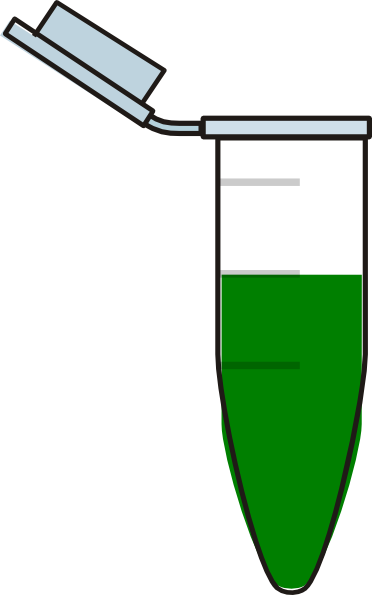 Eppendorf Tube Green (372x595)