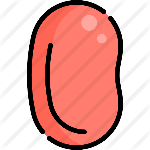 Jelly Beans - Jelly Bean (512x512)