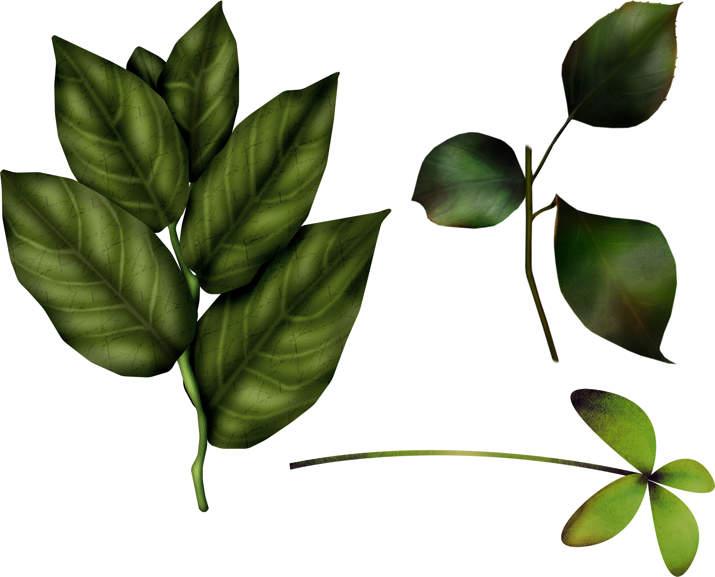 Green Leaves Png Image - Baby Winnie The Pooh (2949x2382)