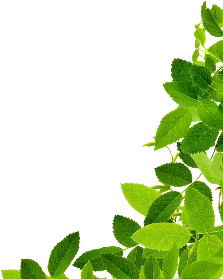 Download Free Transparent Png Image - Download Free Transparent Png Image (848x1009)