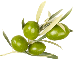 Sense Of Care Shea Butter Hand Cream Olive 40g/40ml (426x282)
