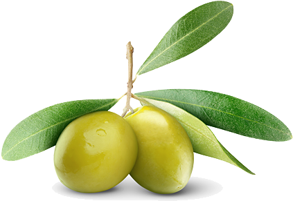 100% Naturel - Barnier Green Olives, Picholines 8.8 Lbs (450x351)