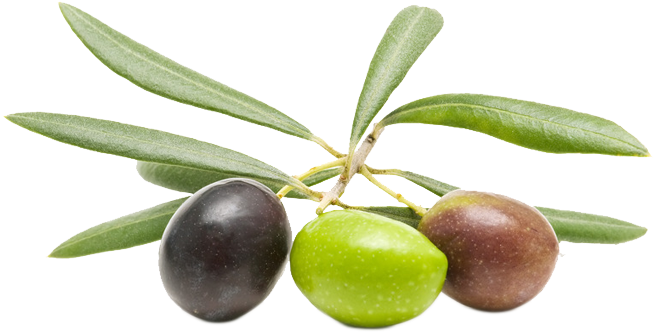 Olives And Happy Hearts - Olives Health Benefits (653x341)