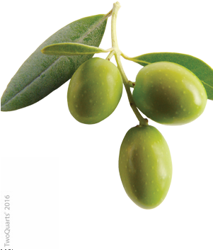 Fair And White Original Olive Exfoliating Soap 7 Oz (300x449)