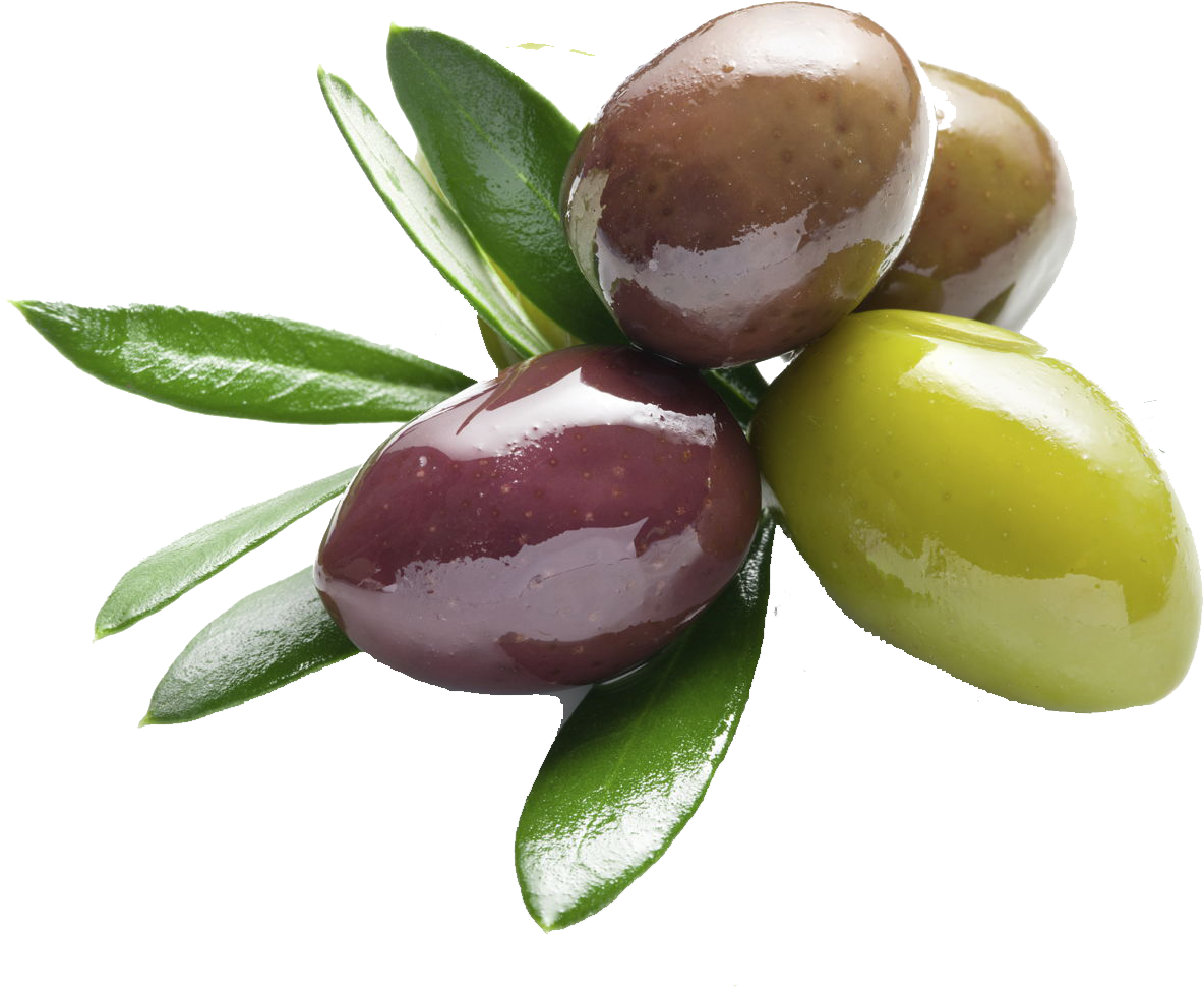 Olives Png Background Image - Olive Leaf Extract Benefits (1280x1054)