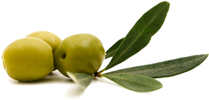 Antioxidánsokban Gazdag - Olive Pan (468x310)