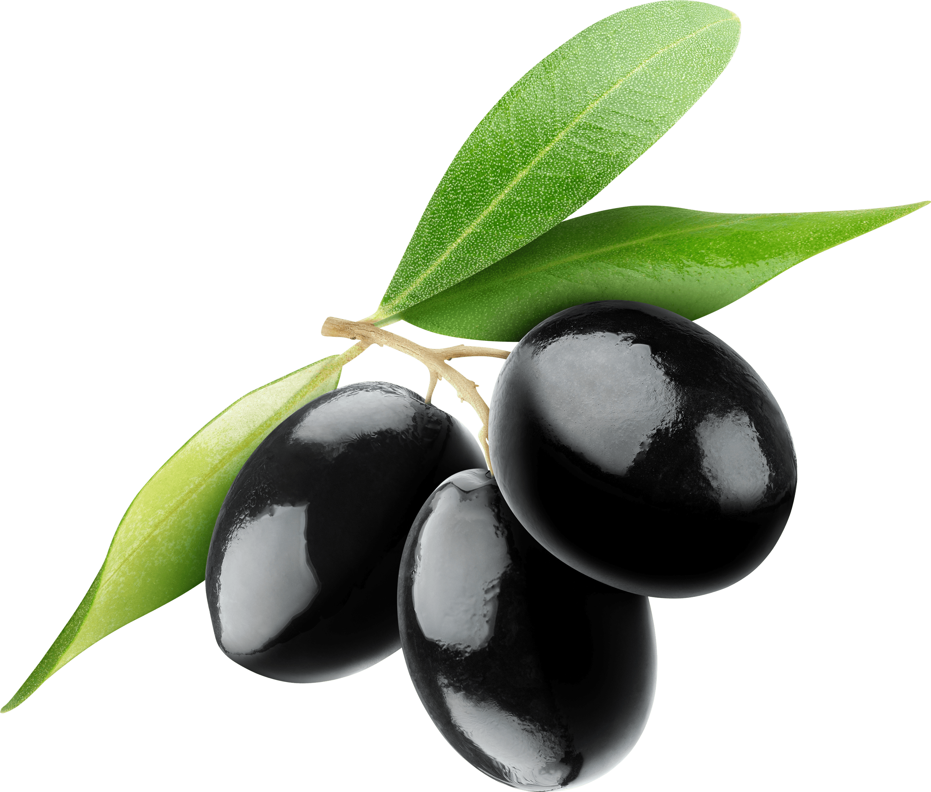 Black Olives Png - Black Olives Transparent (3000x2551)