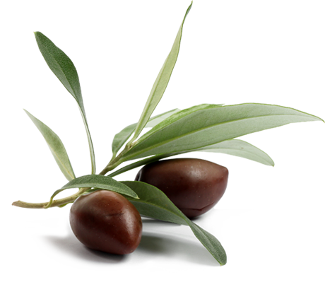 Review And Constantly Improve Quality - Die Sirtuin-diät - Jung Und Schlank Mit Genuss (460x423)