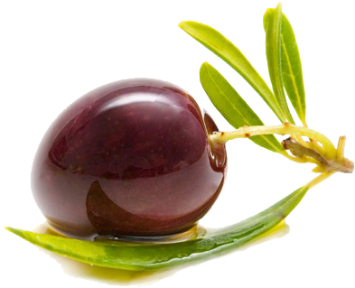 We Are Exporting To Germany, Usa, Canada, Romania, - Kalamata Olive Png (400x400)