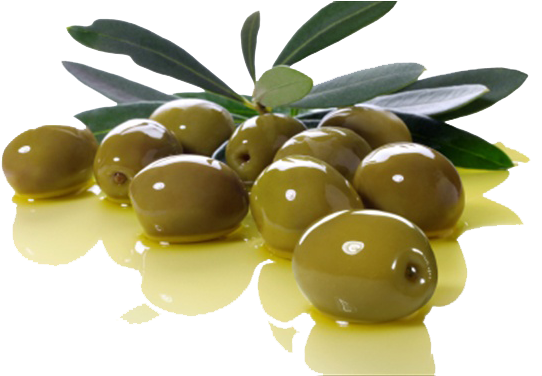 Nos Olives - Scientificrx Intensive Repair Serum (600x375)