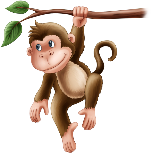 Monkey Primate Carnivora Animal Animated Cartoon - Imagen De Un Monito (685x680)