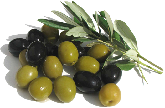 La Wilaya De Skikda Est Sur Une Excellente Production - Black Olive Health Benefits (527x346)