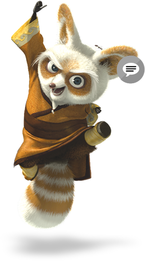 Shifu - Kung Fu Panda 2 (400x560)
