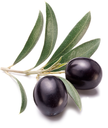 Squalane Oil Soluble Emollient Deeply Hydrates Skin - Herbolive Olijf Olie Gezicht Crème Voor Gevoelige (500x500)