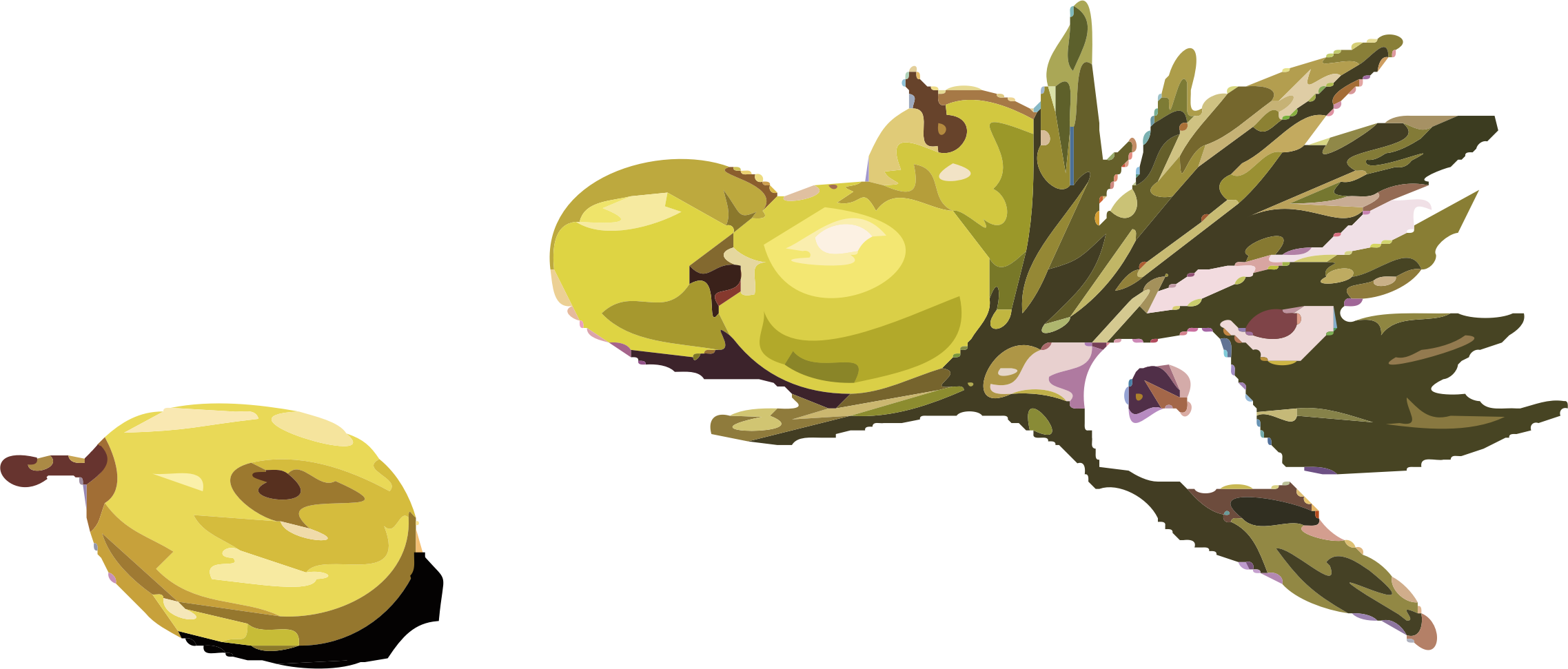 Olives Png - Olive Free Clip Art (2275x971)