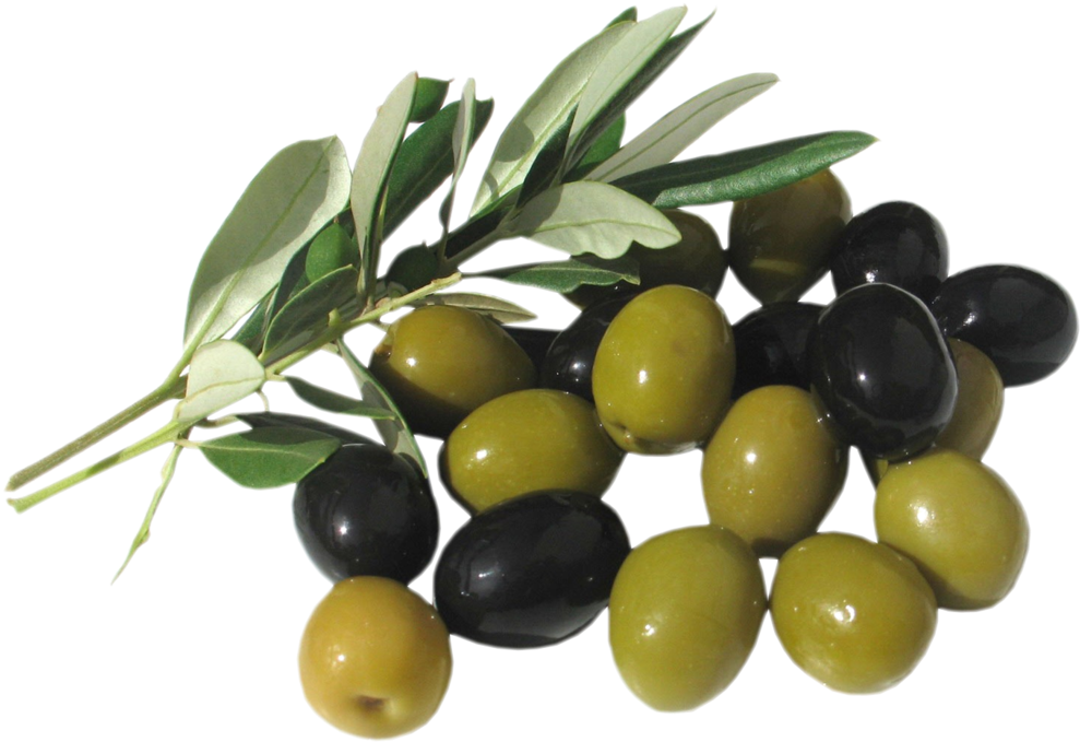 Olive Oil (1024x727)