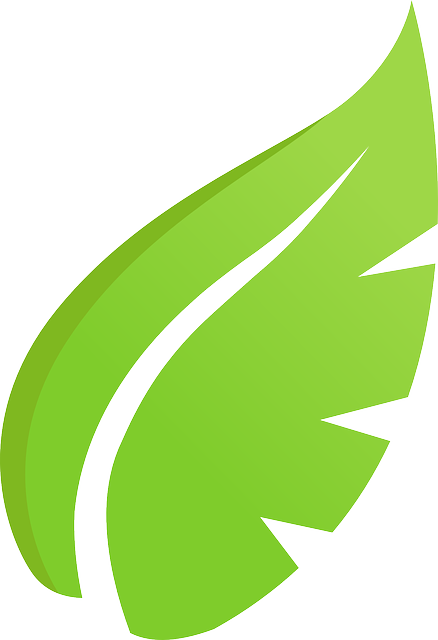 Ecology Leaf, Plant, Green, Ecology - Ecology (492x720)