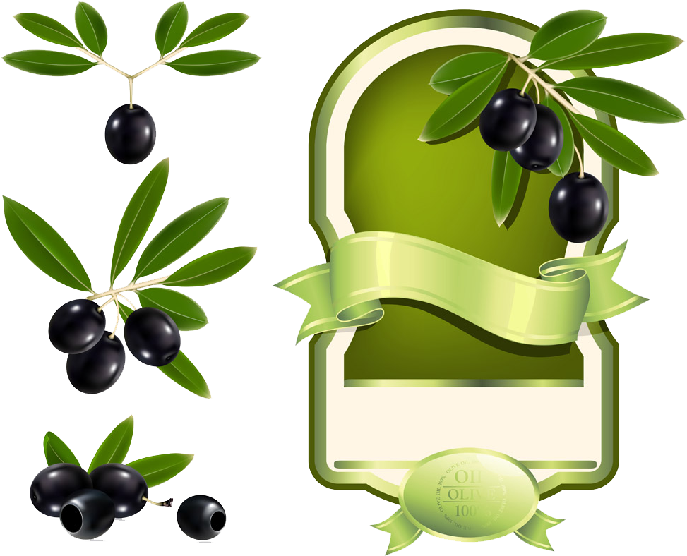 Olive Oil Label Clip Art - Olive Oil Label Template (1000x822)