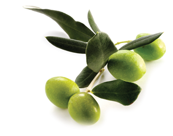 500ml Geduld Extra Virgin Olive Oil - Olive Oil (400x300)