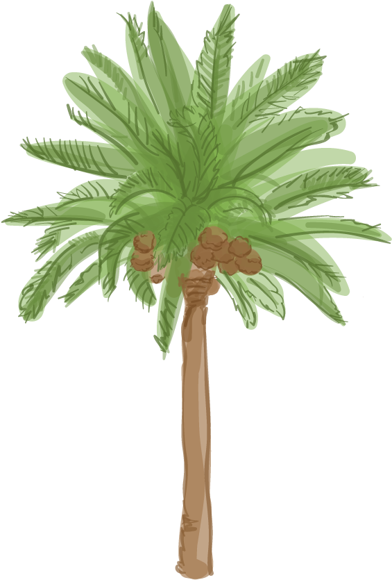 's Palm Trees Are Dying And It's Changing The City's - 's Palm Trees Are Dying And It's Changing The City's (601x901)
