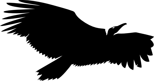 Football Outline Vector - Eagle (600x318)