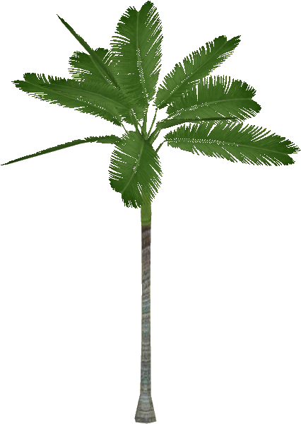 Alexander Palm - Alexandra Palm Tree Png (599x599)