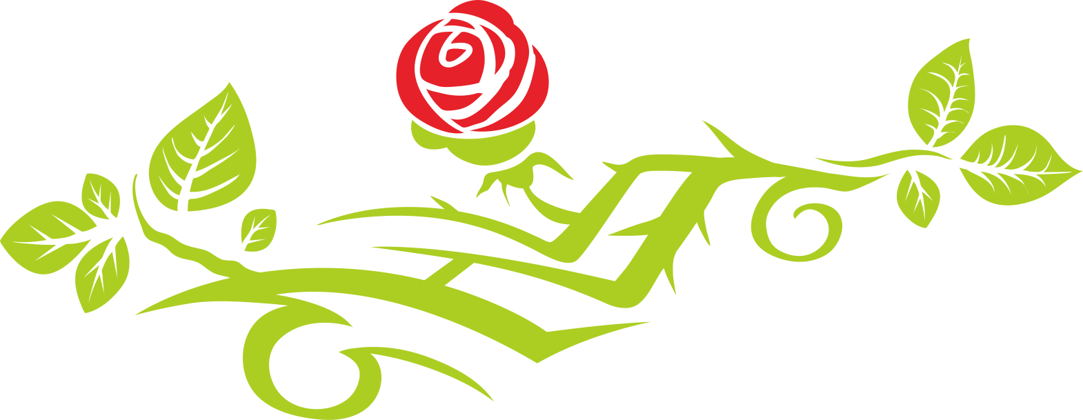 Beach Rose Rosa Multiflora Wall Decal Pattern - Beach Rose Rosa Multiflora Wall Decal Pattern (1570x609)