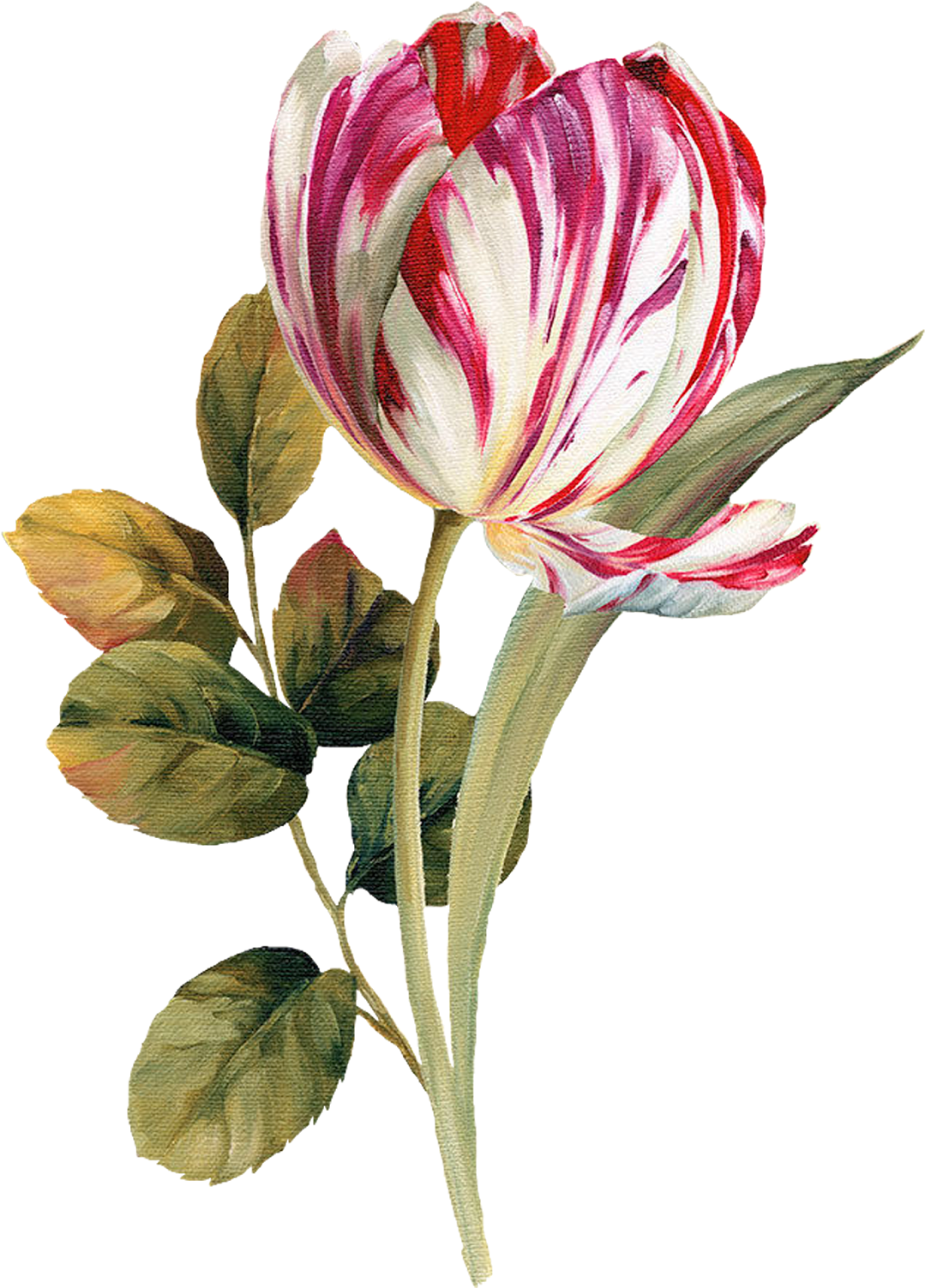 Pin By Debbie Ostrowski Barton On Art ~ Lisa Audit - Flower Oil Painting Png (1162x1600)