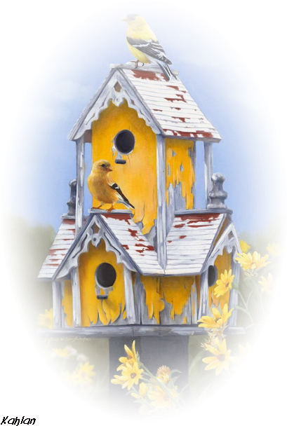 Tubes Oiseaux - House Hunting Jigsaw Puzzle 500 Pieces Sunsout (420x617)