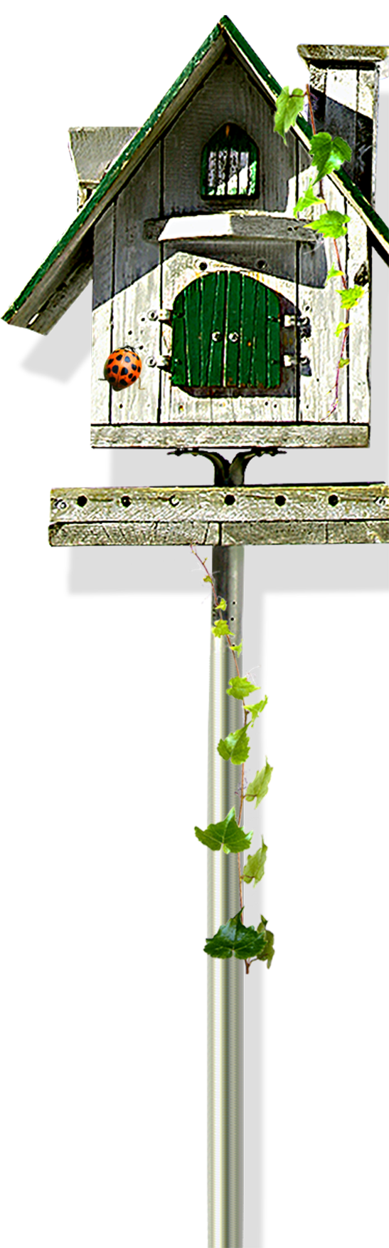 Bird Cartoon Drawing - Bird Cartoon Drawing (1095x1954)