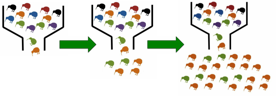 Inbreeding And Inbreeding Depression - Bottleneck Genetic Diversity (908x316)