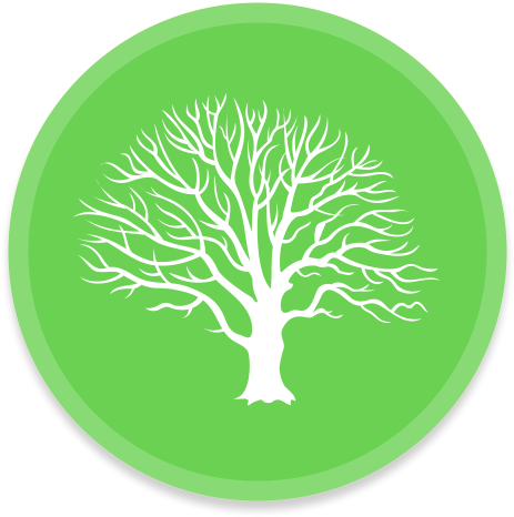 An Image Of An Abstract Family Tree Icon - Tree (512x512)