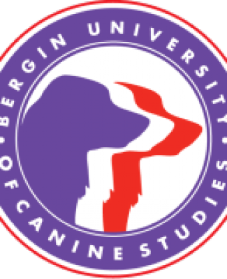 Founding At The Bergin University For Canine Studies - Bergin University (325x400)