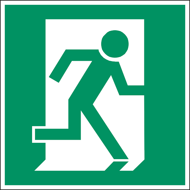 Emergency Exit, Exit, Door, Way, Sign, Symbol, Icon - Saida De Emergencia Vetor (640x640)