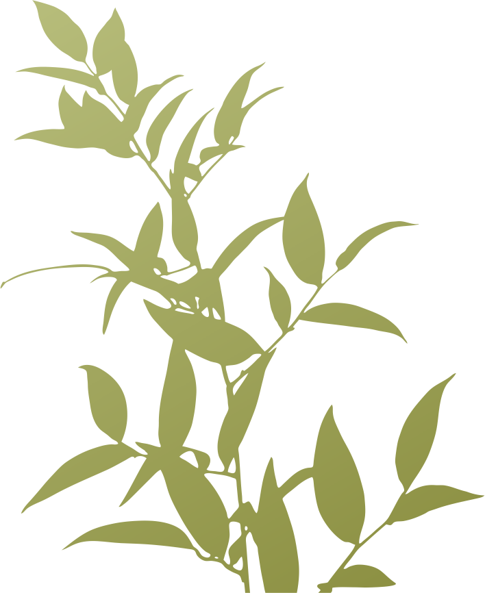 Plants Trivia Silhouette - Plants Trivia Silhouette (708x866)