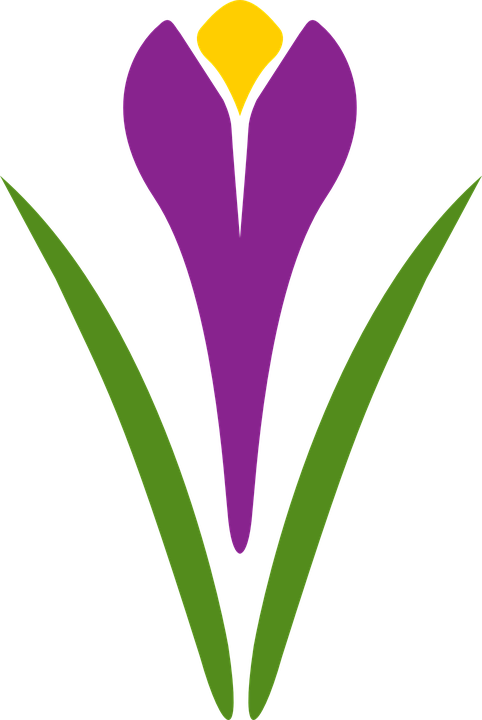 Frozen Flower Cliparts 23, Buy Clip Art - Saffron (482x720)