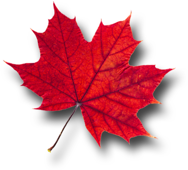 Enter To Win - Blame Canada (400x381)