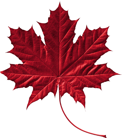 , We Would Like To Offer You A Free Membership And - Canada Symbol Maple Leaf (400x496)