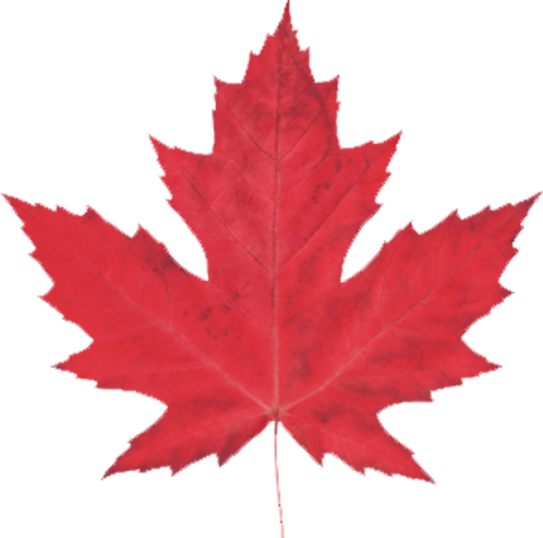 Proudly Canadian - Le Maple Leaf Bistrot Montevideo (599x593)