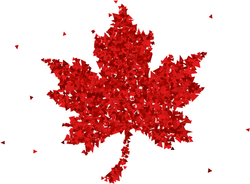 Canadian Music Days Concert - Happy Canada Day 150 (855x714)