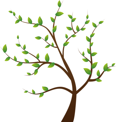 Album - Clipart Four Seasons Trees (476x500)