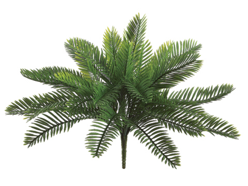 18" Plastic Cycas Palm Bush With 30 Leaves Green - Silk Plants Direct Cycas Palm Plant - Green - Pack (800x800)