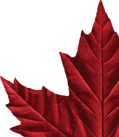 Facebook - Twitter - Molson Canadian Maple Leaf Logo (403x464)