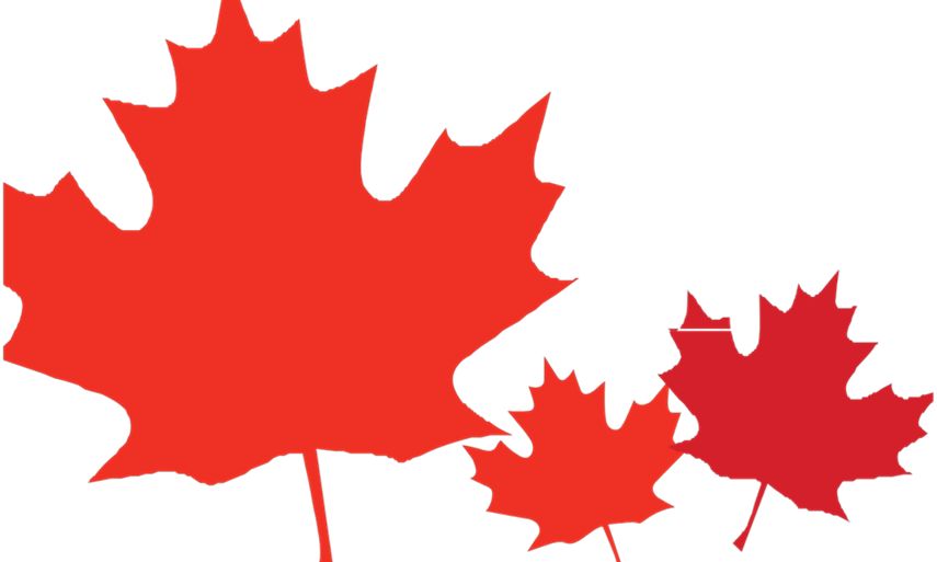 Maple Leaf On April 17, 1982, Canada Reached A Milestone, - Maple Leaf (855x513)
