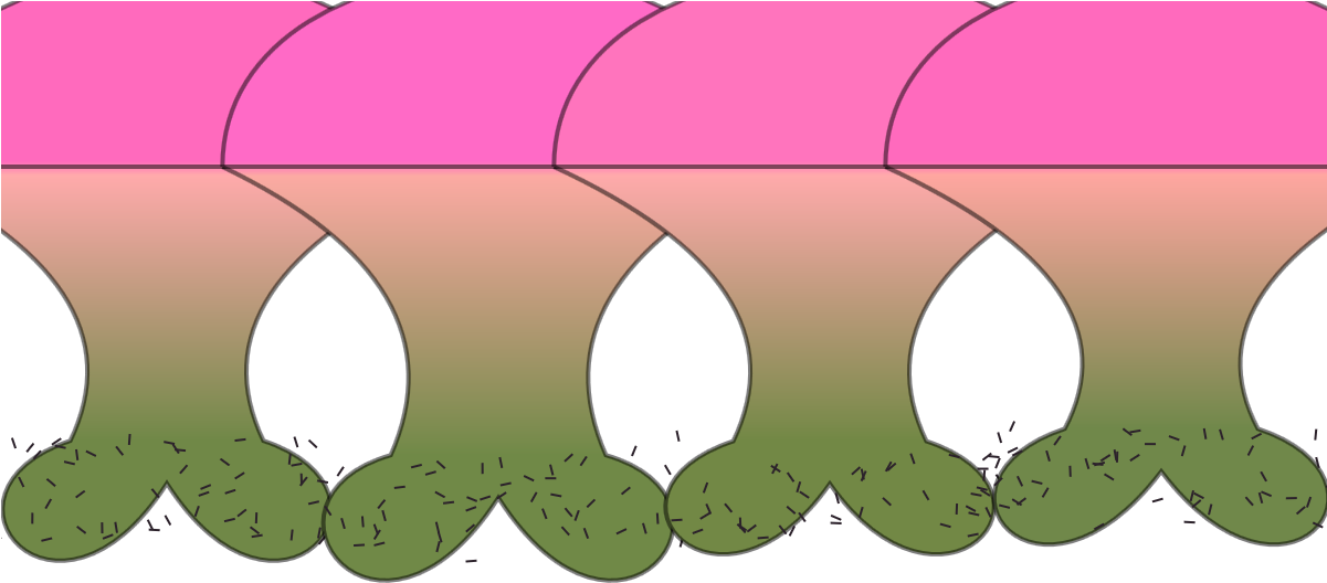 48107551 - Grass (1200x700)